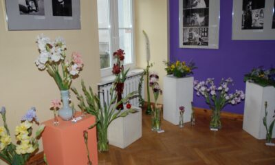 Wystawa kwiatów „Irysy i inne...” - zdjęcie 9