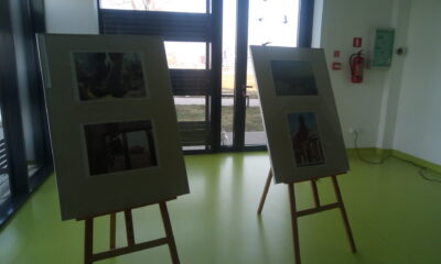 Wystawa fotograficzna na Forum Organizacji Pozarządowych - zdjęcie 13