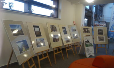 Wystawa fotograficzna na Forum Organizacji Pozarządowych - zdjęcie 17