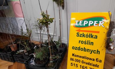 Koło Miłośników Roślin Ozdobnych, luty 2024 - zdjęcie 2